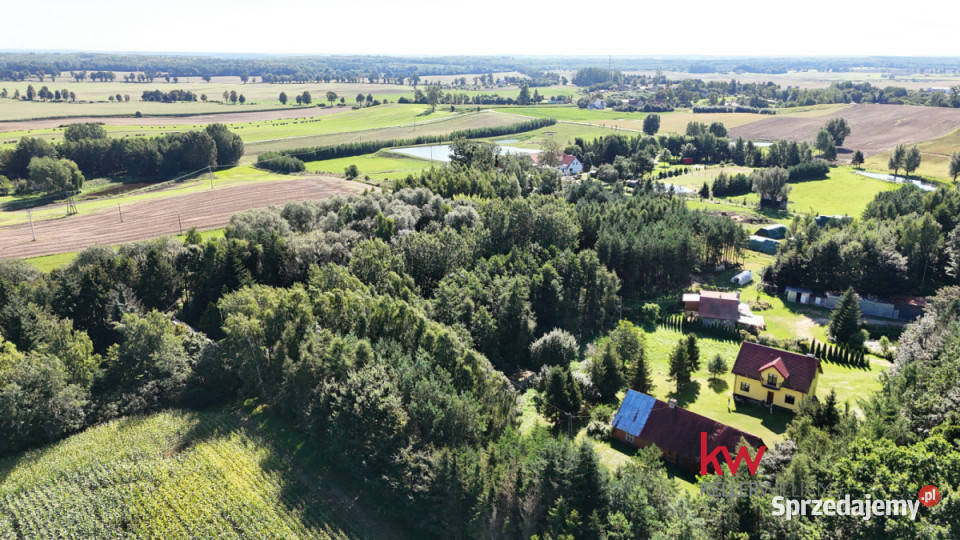 Dom wolnostojący na sprzedaż Wandowo 160m2 Domy