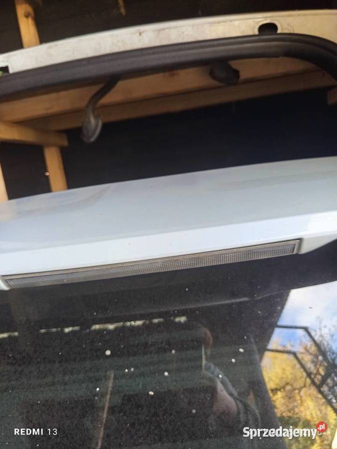 Kuga klapa lubelskie