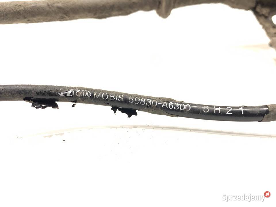 CZUJNIK ABS PRAWY PRZÓD KIA CEED 59830A6300 1218 podkarpackie