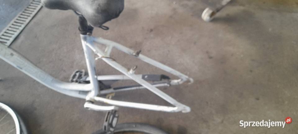 Rower Pegasus solero 28 Świebodzin
