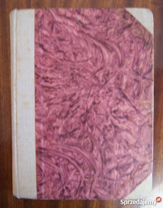 Józef Ignacy Kraszewski Dziecię Starego Miasta sprzedam