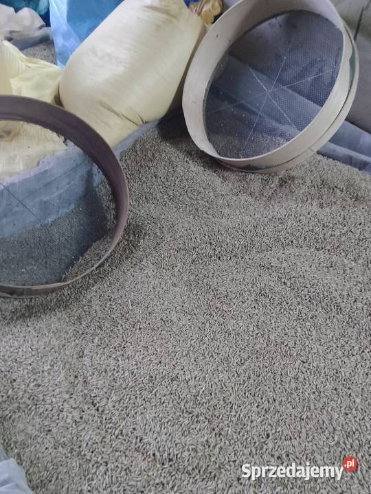 Mąka pszenna i żytnia swojska z młyna Klimontów