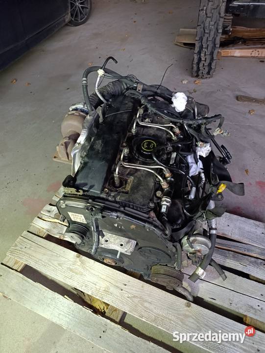Silnik Ford 20 tdci duratoq Świebodzin