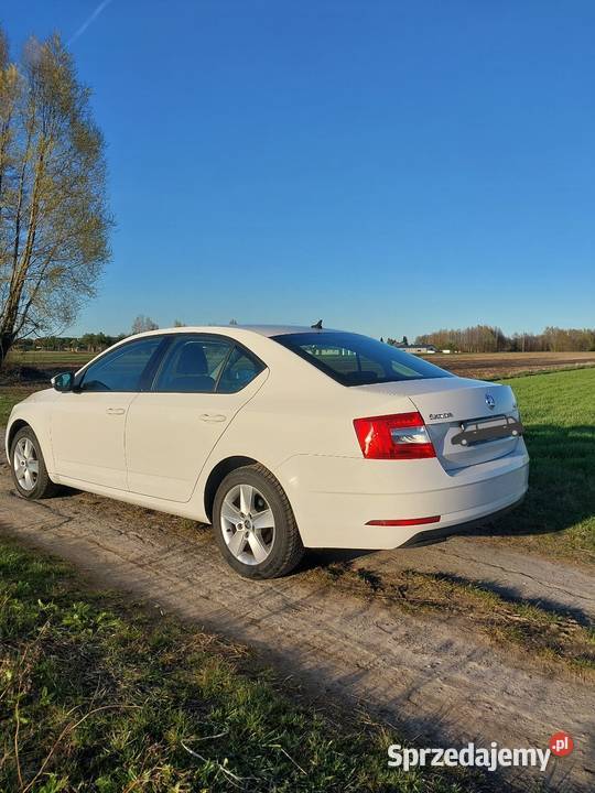 Skoda octavia III światła przeciwmgielne Zbuczyn