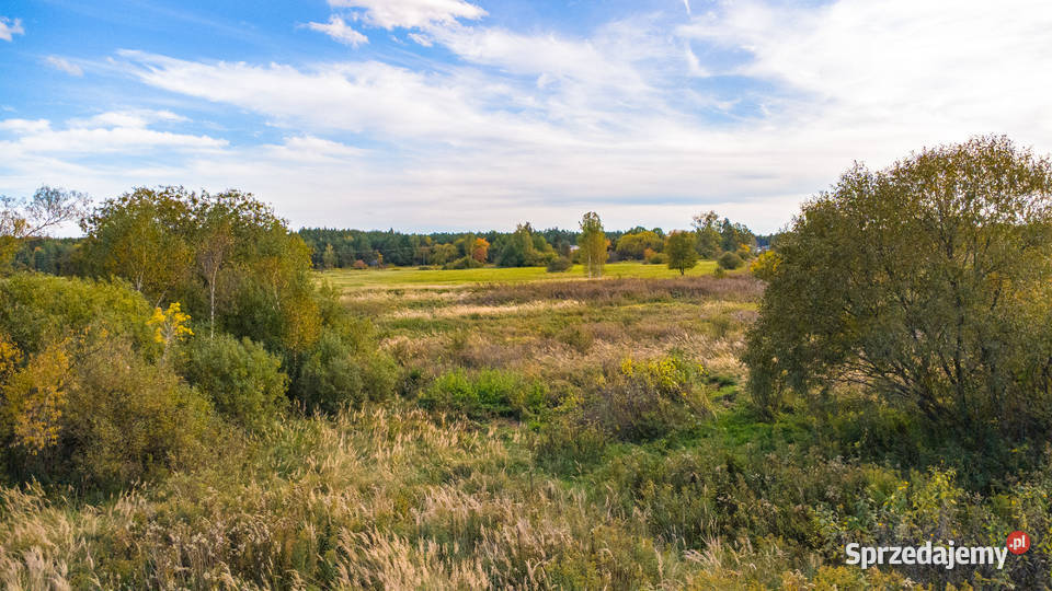Działka 965 m z widokiem projekt domu w Biłgoraj sprzedam
