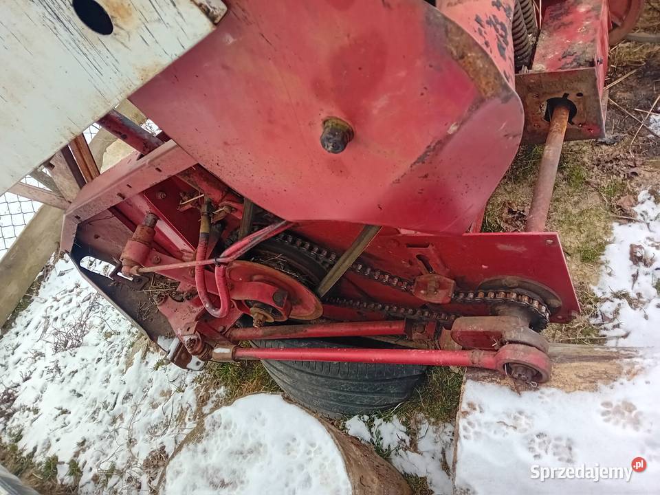 Heder z gardzielem Siekierno-Podmieście