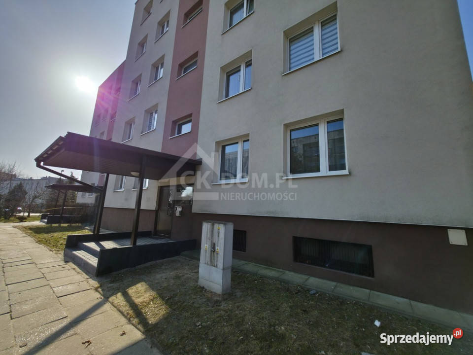 Mieszkanie Śląska 3970m2 cegła Sprzedaż Mieszkania świętokrzyskie