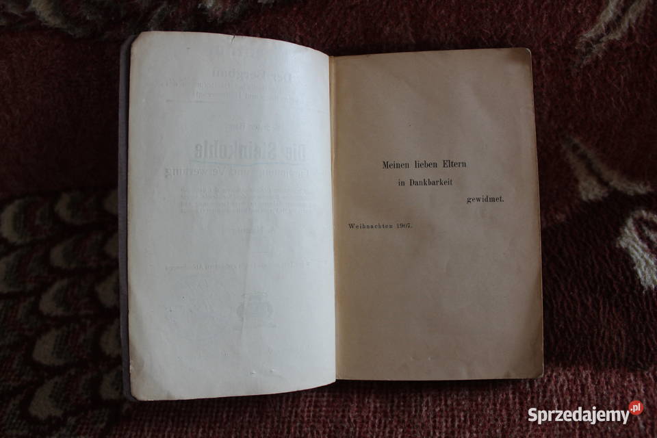 Die Steinkohle A Haenig 1907 Chorzów