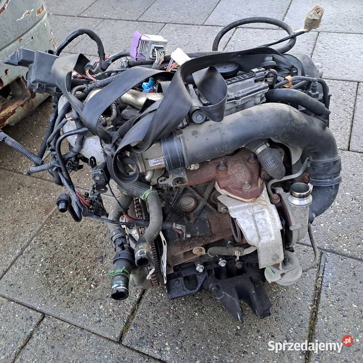 Renault Scenic III 19 DCi silnik kompletny kod Silniki kompletne Jastrzębie-Zdrój sprzedam
