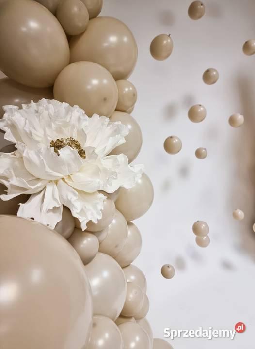 Kwiaty giganty do Twojej dekoracji Terespol