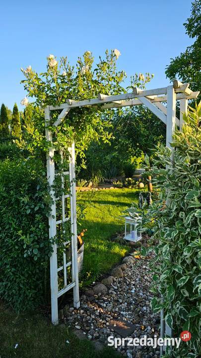 Działka ROD Wrzos w Radomiu Radom