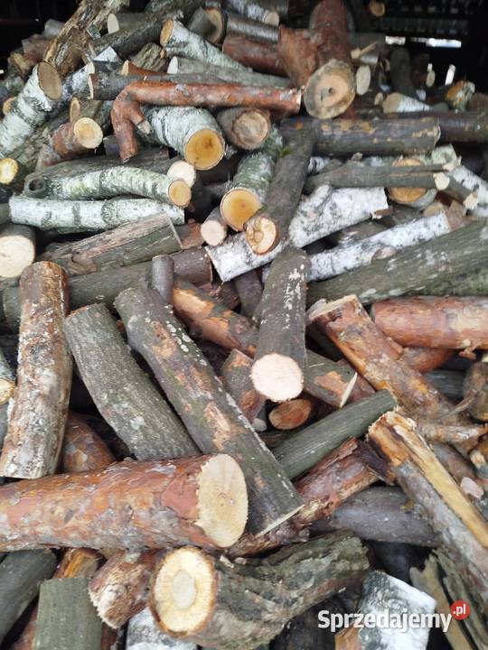 Sprzedam dżewo dęba sosnę podkarpackie