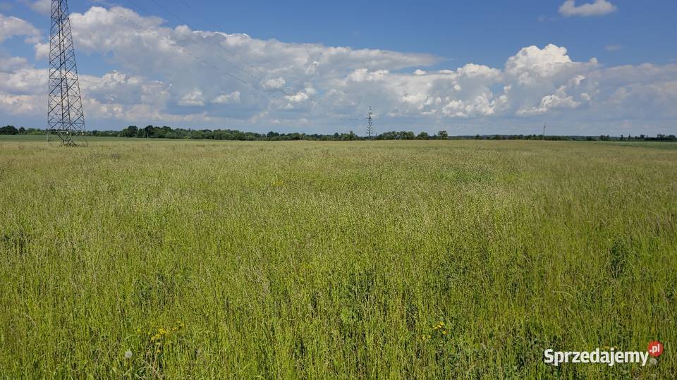 Sprzedam trawe na siano kiszonkę warmińsko-mazurskie sprzedam