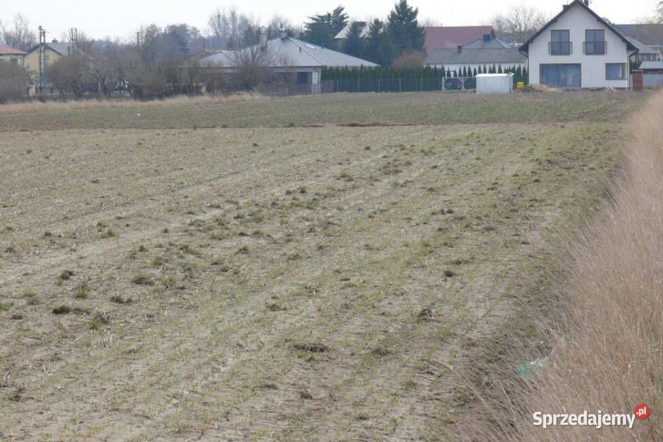 463arDZIAŁKA INWESTYCYJNA lubelskie Osmolice Pierwsze