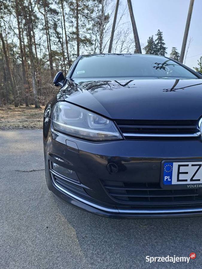 Golf 7 2017 16 Tdi ALLSTAR gniazdo SD Golf łódzkie Szadek