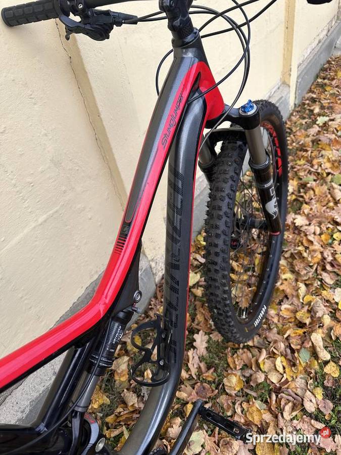 Specialized Stumpjumper Elite 29 XL XTR zadbany