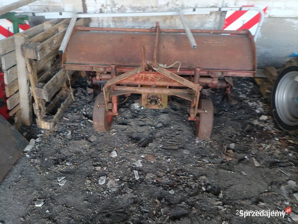 Glebogryzarka mazowieckie Wyszków