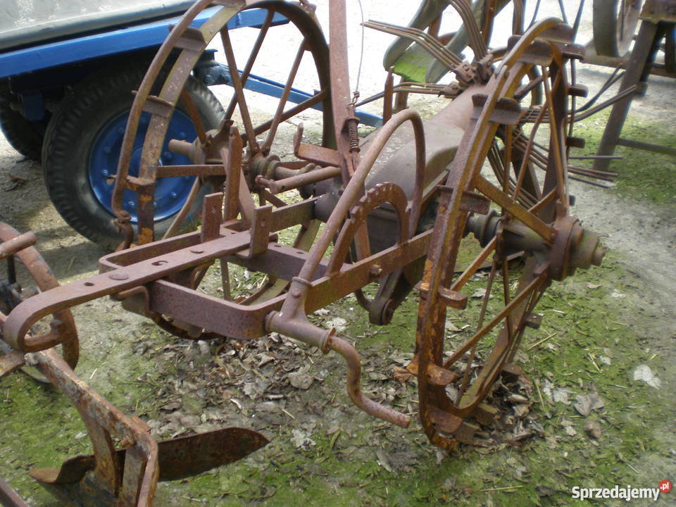 PolskaPowojennado ozdoby działkiogroduKonna Barlinek