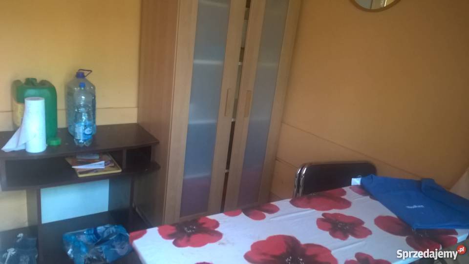 Pod lasem działka Wrocław