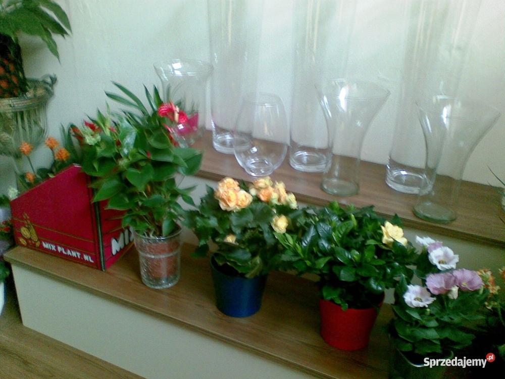 WYPOSAŻENIE KWIACIARNI SKLEPU Gdańsk sprzedam