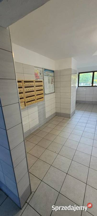 Wynajme 2 pokoje na parterze z balkonem śląskie