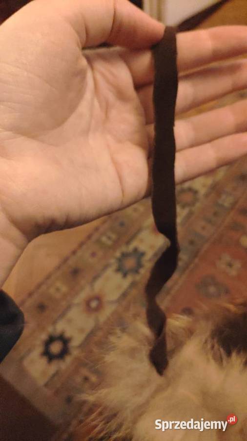 Trochę zwariowana czapka uszanka z futra Warszawa