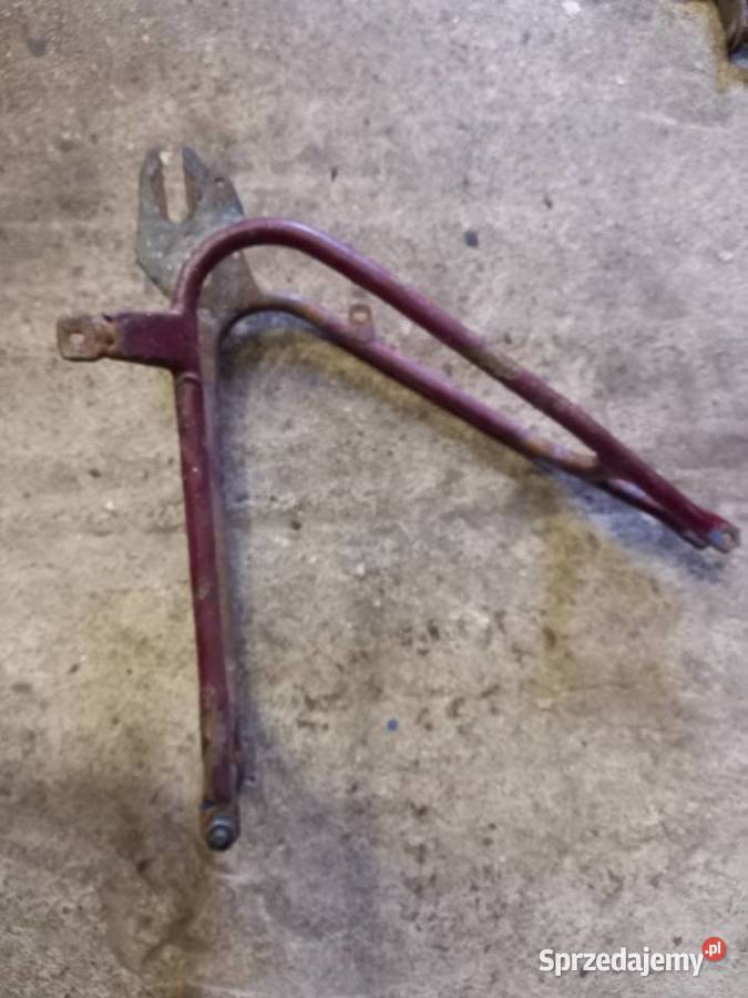 Wachacz komar sztywniak Sokołów Podlaski