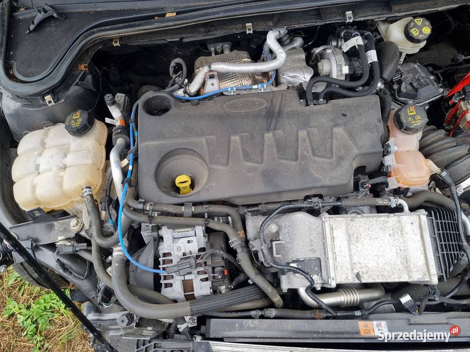 SILNIK DIESEL FORD MONDEO MK5 20 EcoBlue 150 osobowe wielkopolskie