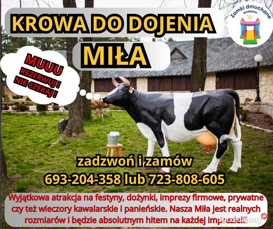Zamki Dmuchane Dmuchańce zjeżdżalnie dmuchane Sieraków sprzedam