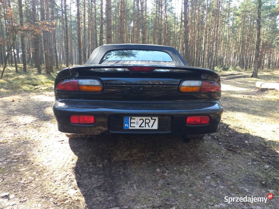 Chevrolet Camaro Cabrio Strzałkowo