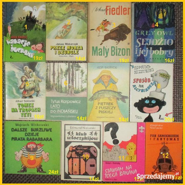 Fotoplastykon K Siesicka Siesicka literatura