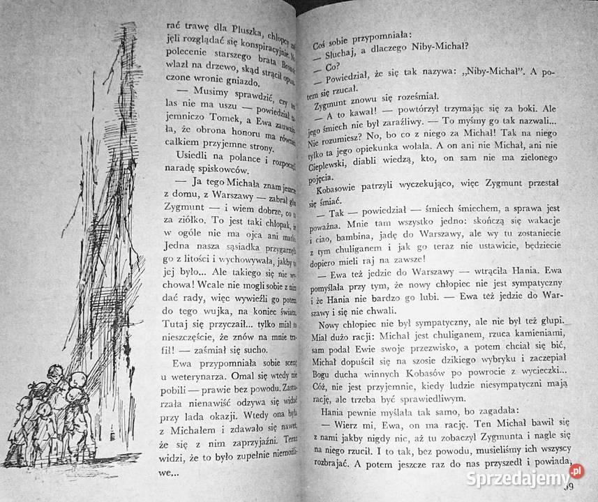 Deszcz zając i chłopiec Zofia Woźnicka Chełm sprzedam