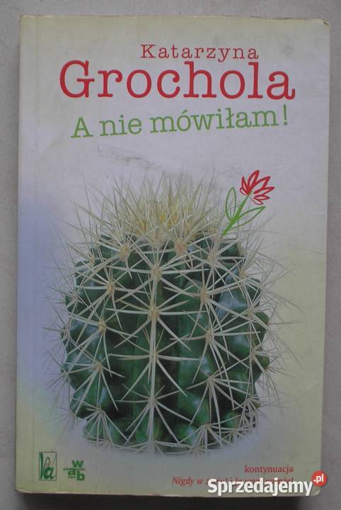 A nie mówiłam Katarzyna Grochola małopolskie Kraków