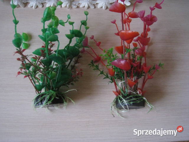 Roślinki akwariowe sztuczne Częstochowa