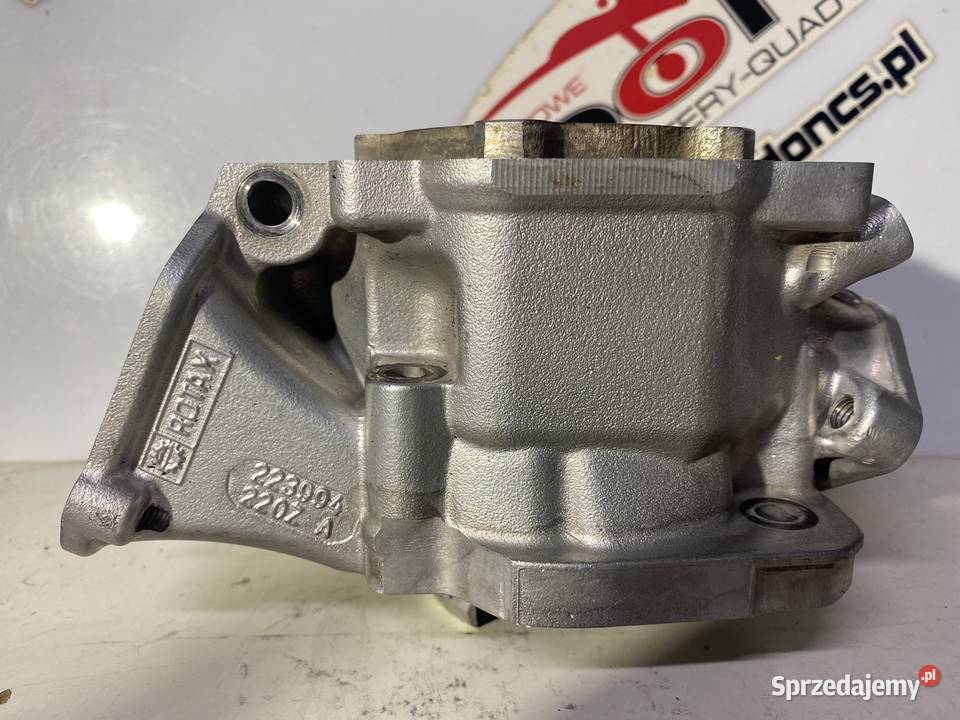 Kompletny cylinder Rotax Micro Mini Junior bez Pozostałe wielkopolskie Kościan