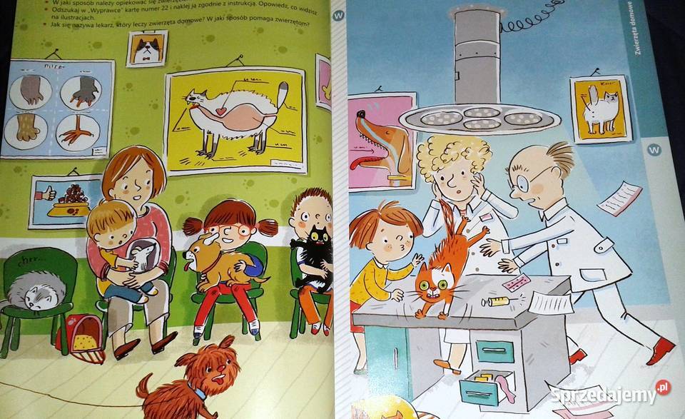 Plac zabaw Księga zabaw z obrazkami Pięciolatek Pozostałe Chełm