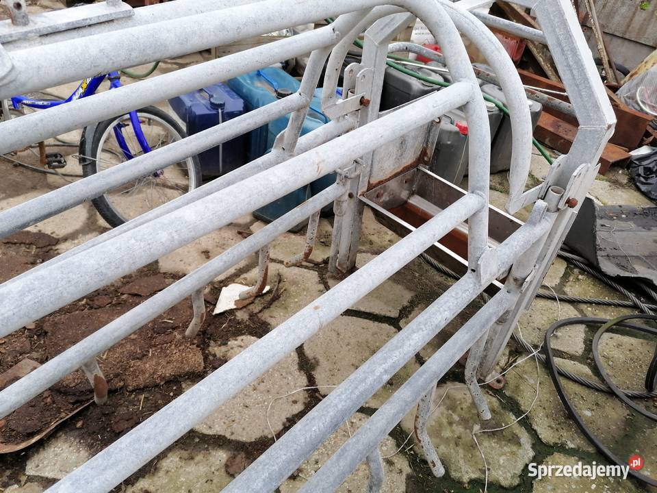 Kojce porodowe macior z korytem Trzoda chlewna Prószków sprzedam