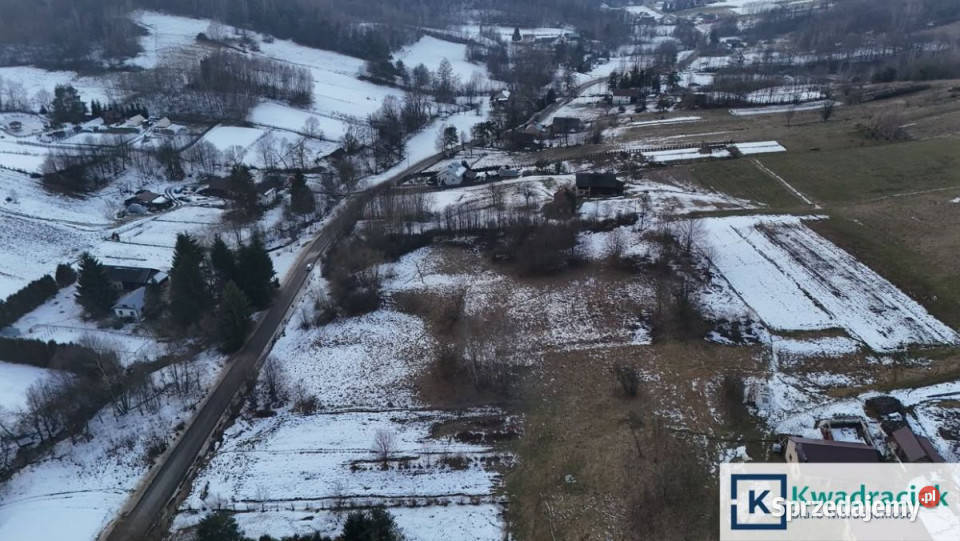 Grunt 4100m2 Pietrusza Wola podkarpackie