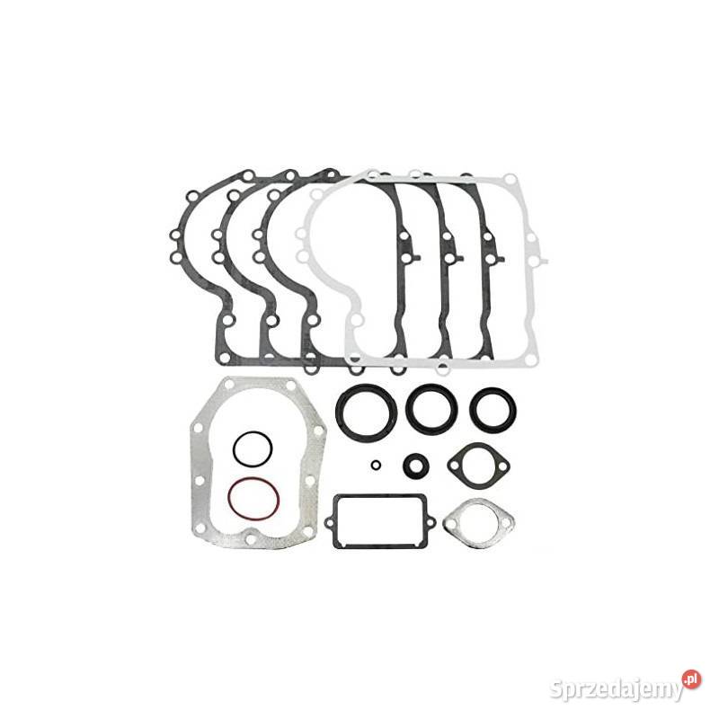 Zestaw Uszczelek BriggsStratton 1013 494241 Ostrołęka