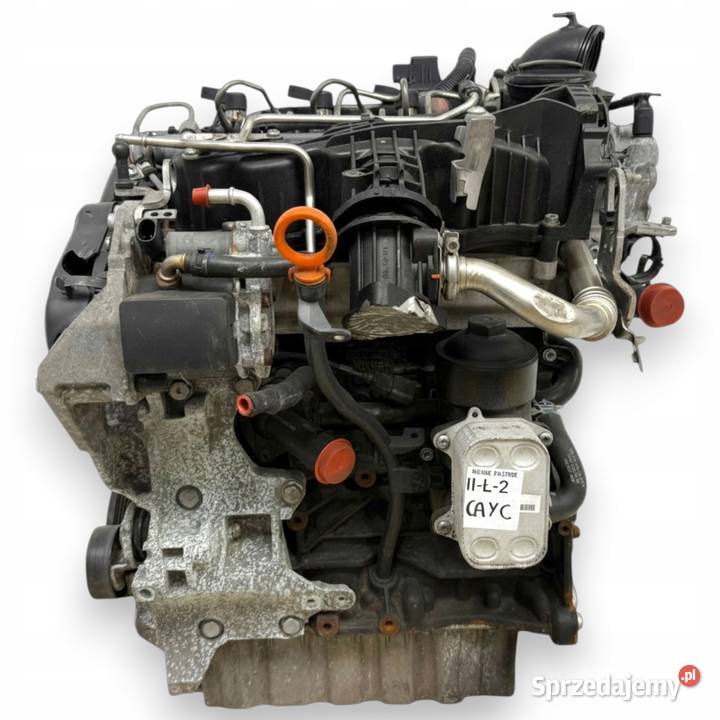 SILNIK CAY VW Beetle Jetta III Audi A1 8X A3 8P1 osobowe Chełm