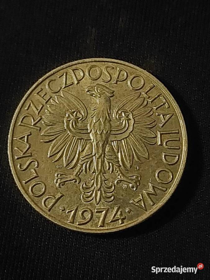 Moneta Rybak 5 zl dolnośląskie Świdnica sprzedam