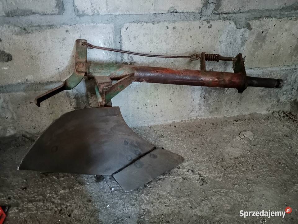 Sprzedam dzik 2 Polatycze