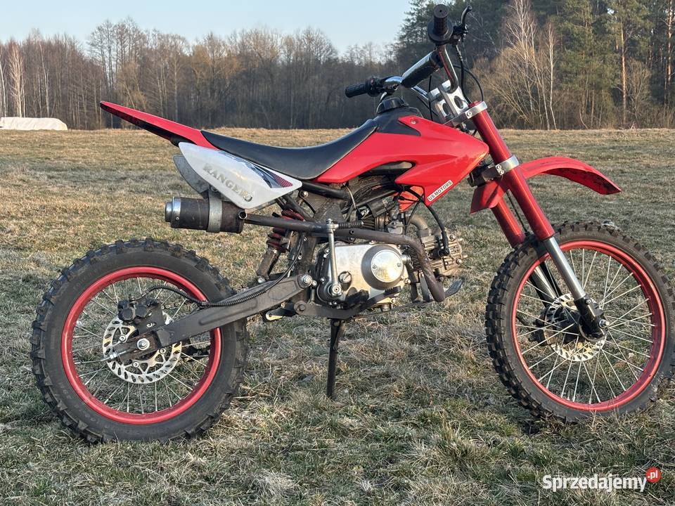 Chiński cross Brześcianka