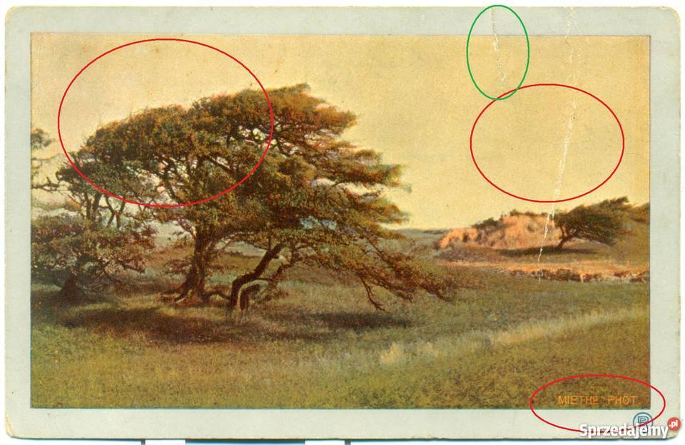 Postkarte Carte postale Ostrów Wielkopolski