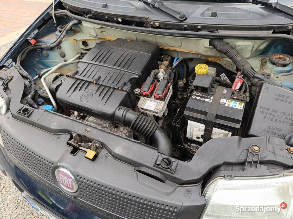 Fiat Panda II Lift 12 69 2012 klimatyzacja z Rok produkcji 2011 Samochody osobowe Przeworsk