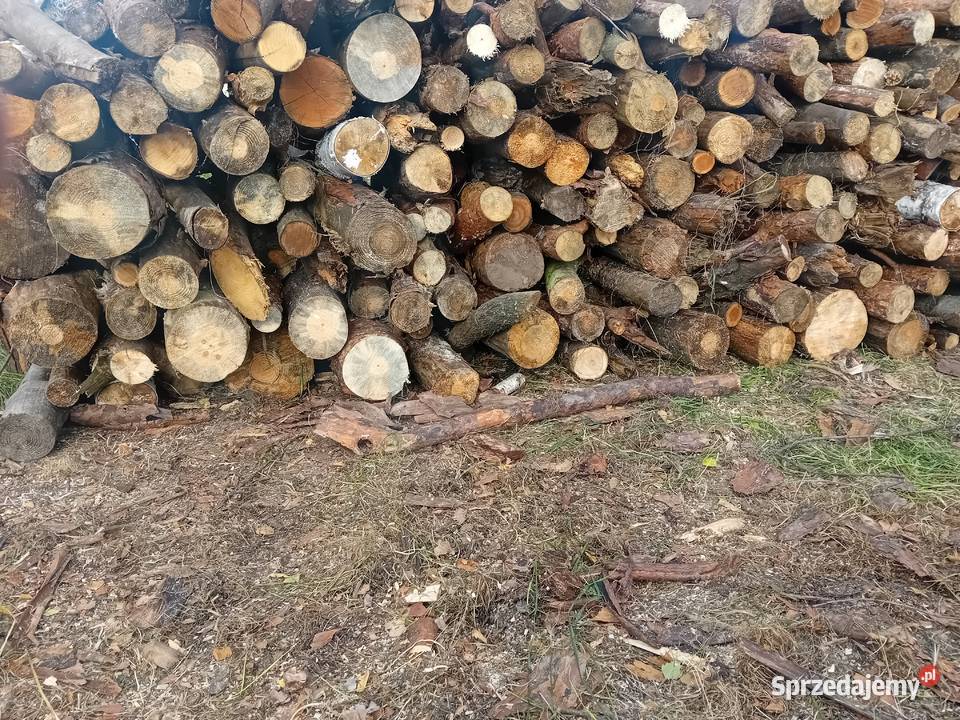 Drewno opałowe sosna suche