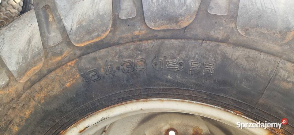 18430 184r30 46085r30 Petlas Alliance 90 bez