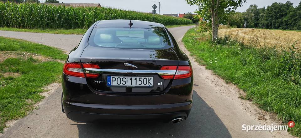 Jaguar XF 22 Diesel diesel wielkopolskie Ostrów Wielkopolski