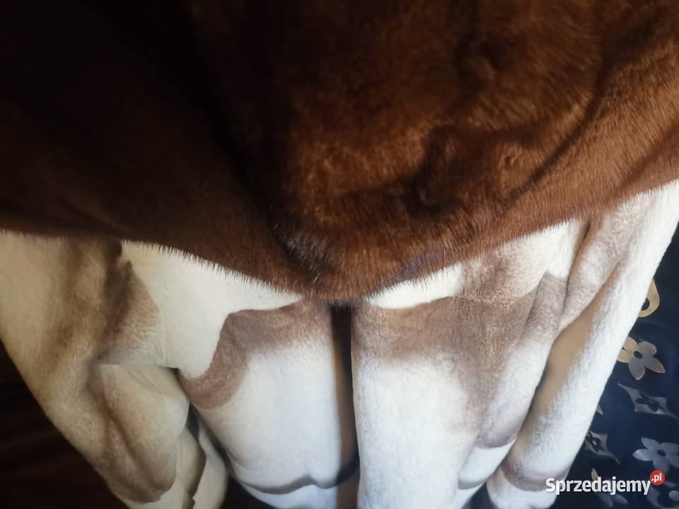 futro epilowane z bobrów Inny wzór Pruszków