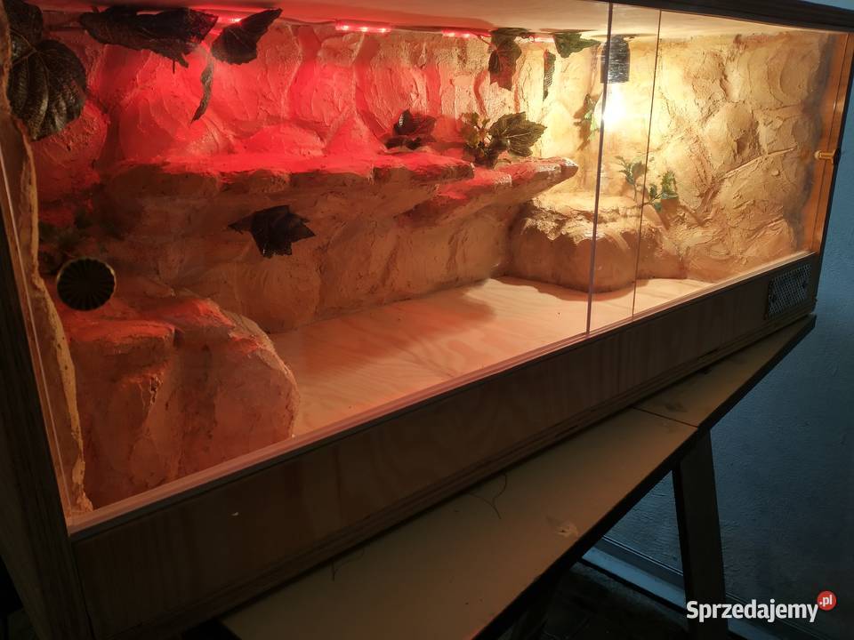 Terrarium skalne98x35x45 Terrarystyka podkarpackie Jarosław